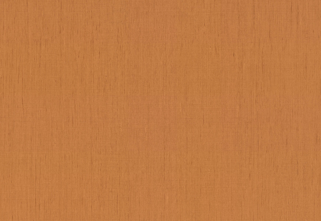Обои Rasch Indian Style 746099