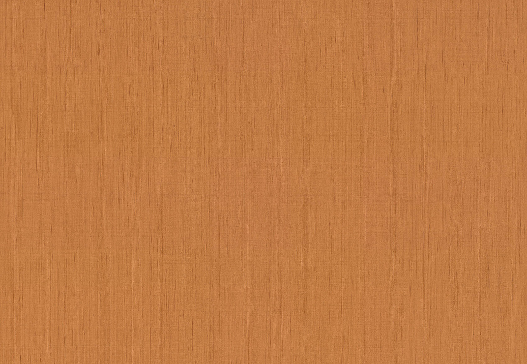 Обои Rasch Indian Style 746099