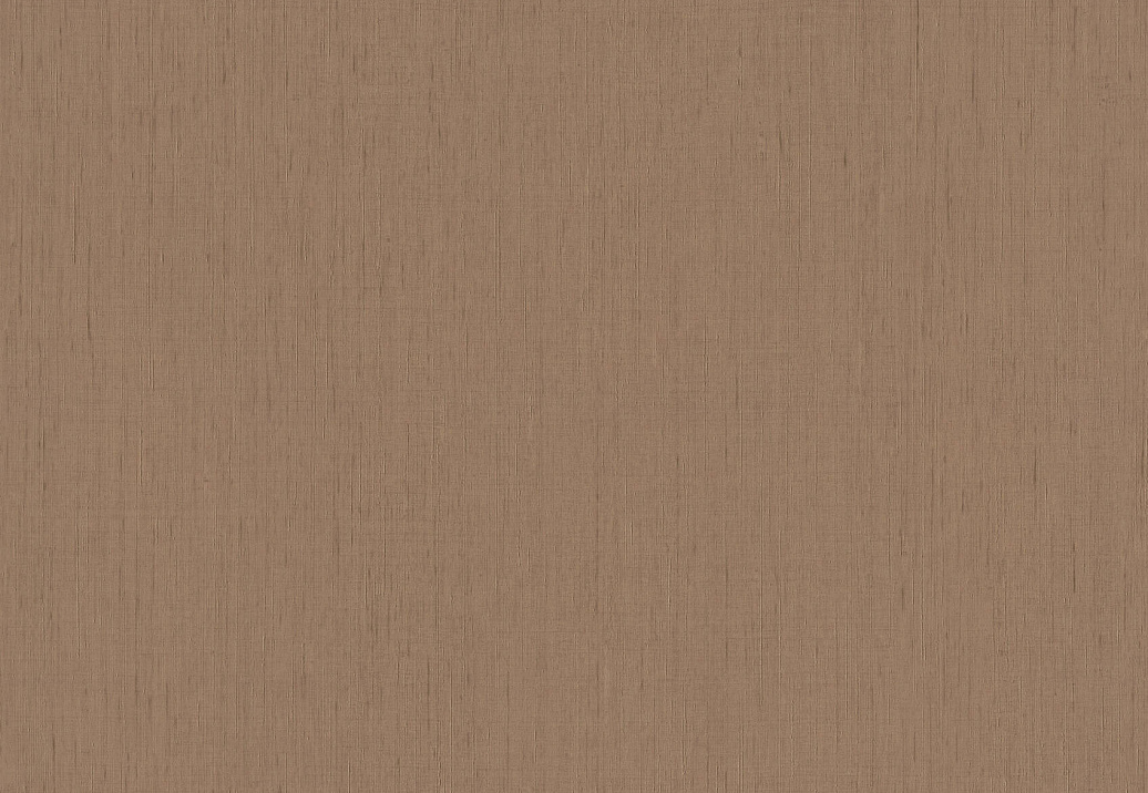 Обои Rasch Indian Style 746129