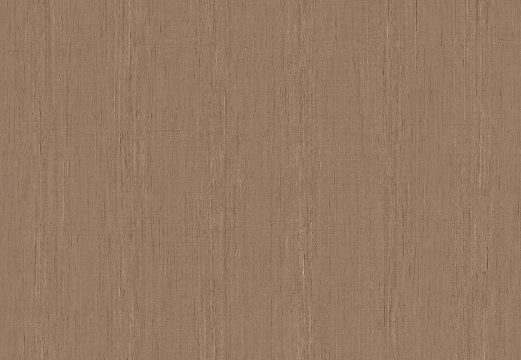 Обои Rasch Indian Style 746129