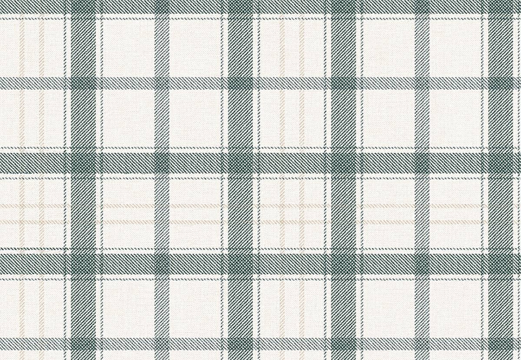 Обои Coordonne Stripes & Checks A00763V