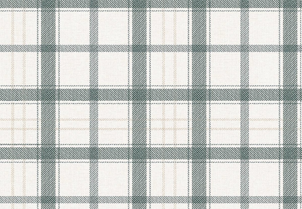 Обои Coordonne Stripes & Checks A00763N