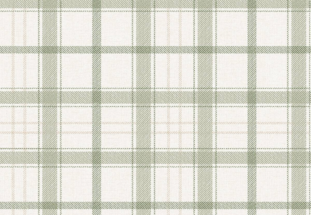 Обои Coordonne Stripes & Checks A00764N