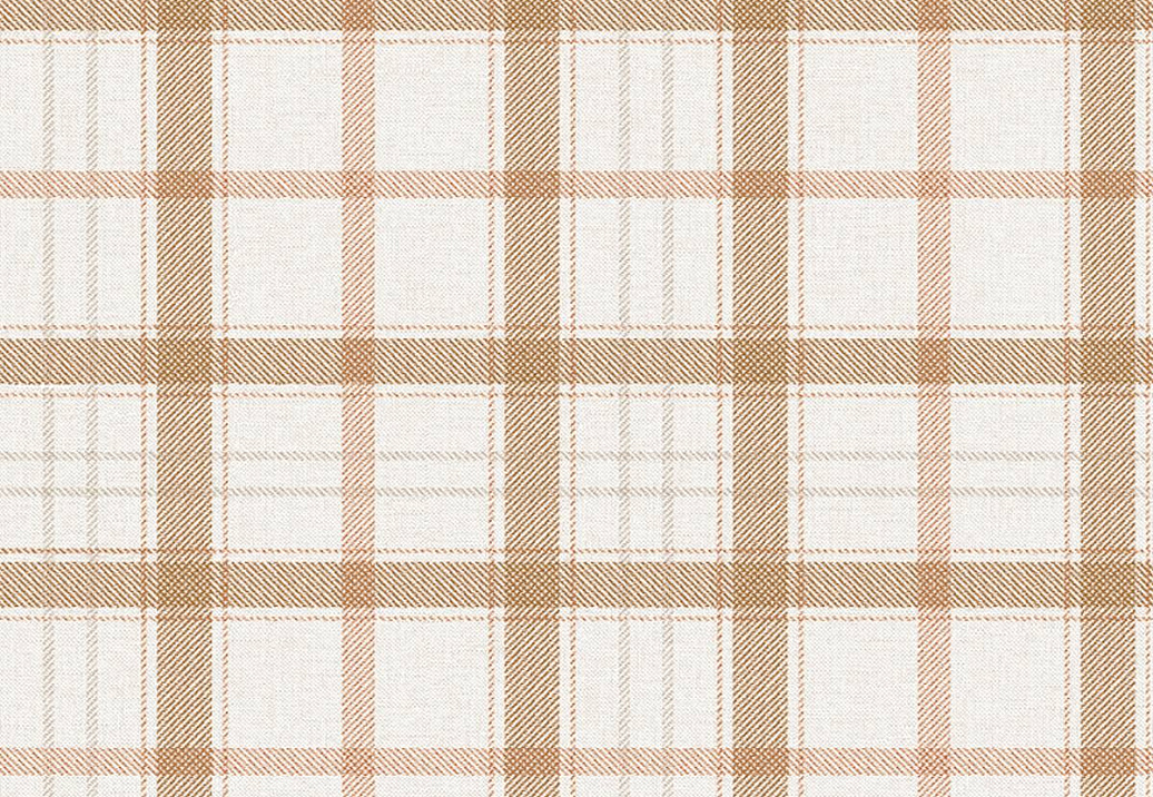 Обои Coordonne Stripes & Checks A00766N