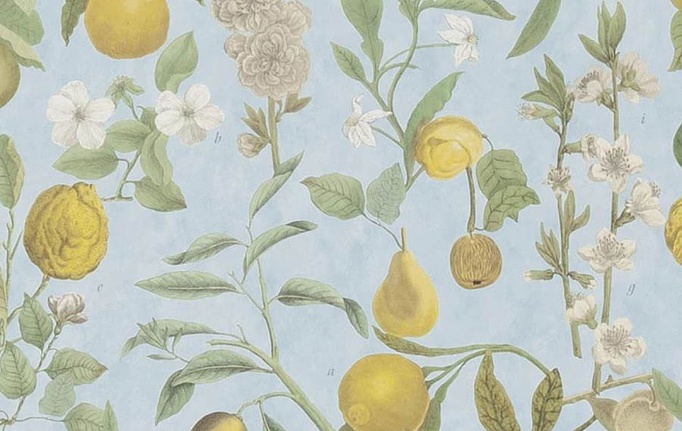 Английские обои Designers Guild, коллекция John Derian - Picture Book II, артикул PJD6018/02
