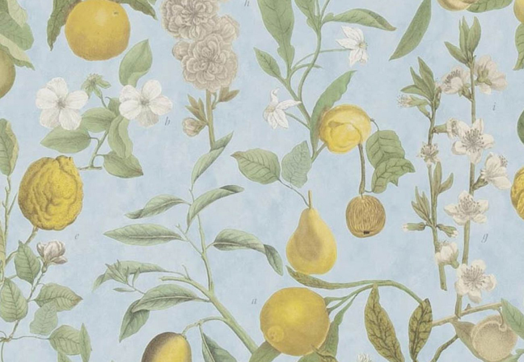 Обои Designers Guild John Derian - Picture Book II PJD6018/02