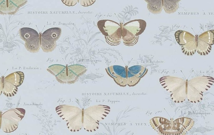 Английские обои Designers Guild, коллекция John Derian - Picture Book II, артикул PJD6017/02