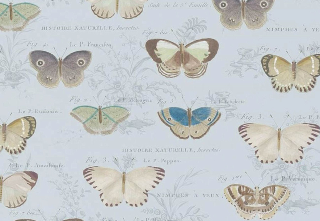 Обои Designers Guild John Derian - Picture Book II PJD6017/02