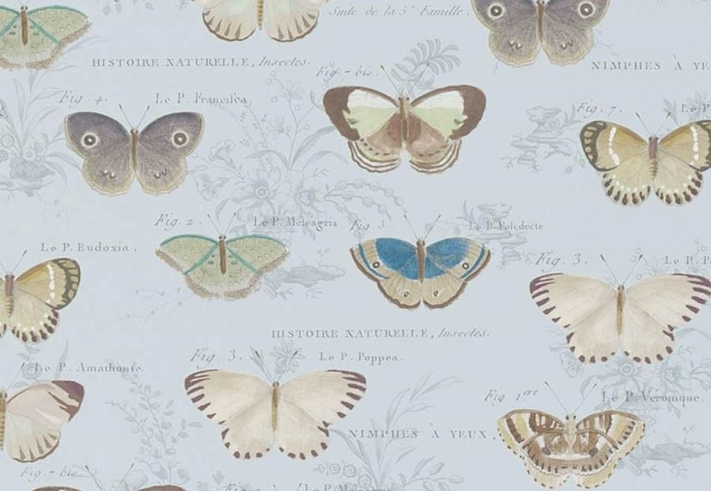 Обои Designers Guild John Derian - Picture Book II PJD6017/02