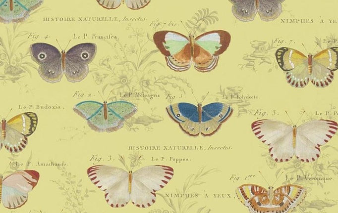 Английские обои Designers Guild, коллекция John Derian - Picture Book II, артикул PJD6017/04