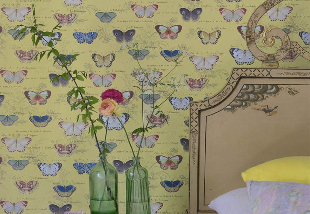 Обои Designers Guild John Derian - Picture Book II PJD6017/04