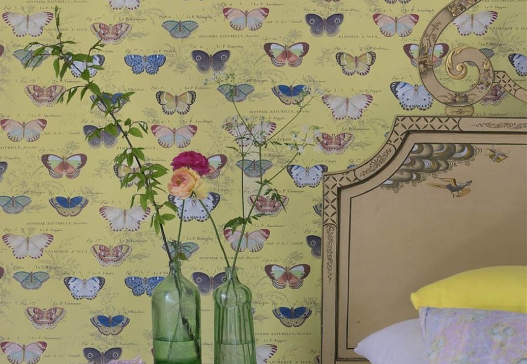 Обои Designers Guild John Derian - Picture Book II PJD6017/04