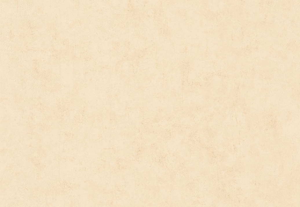 Обои Caselio Beton 2 BTO101481247