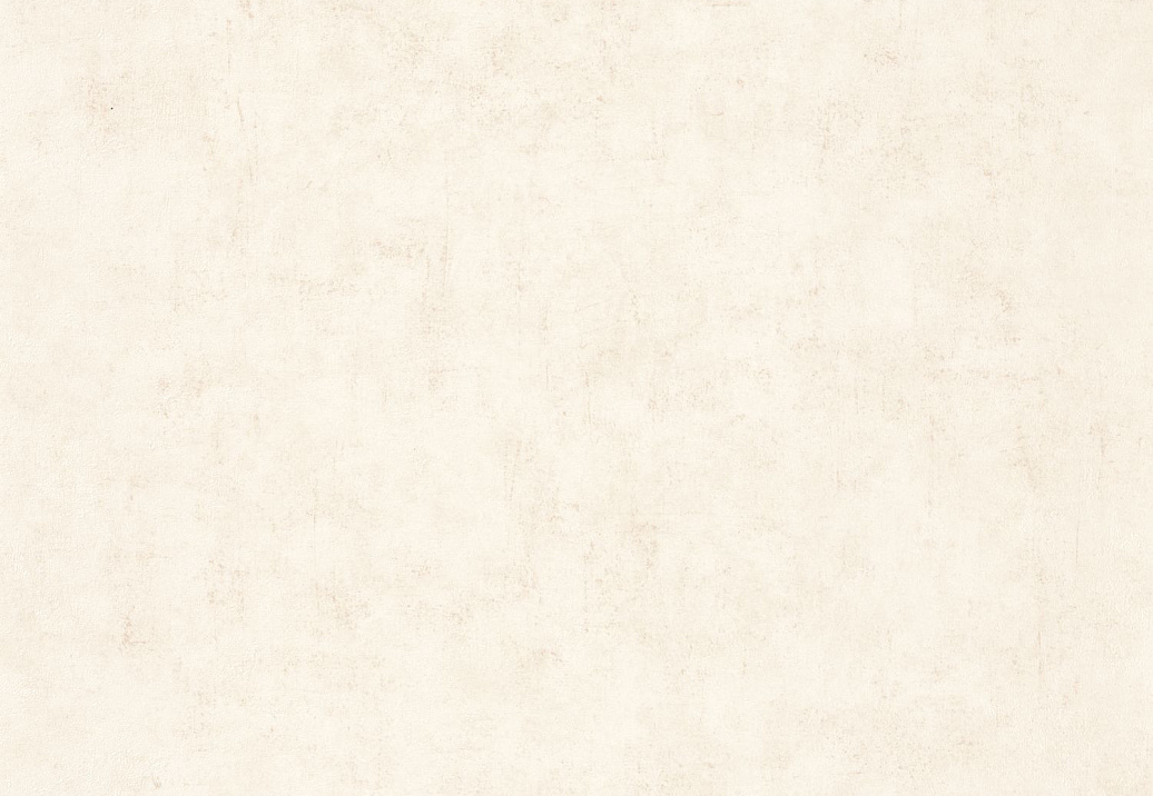 Обои Caselio Beton 2 BTO101491019