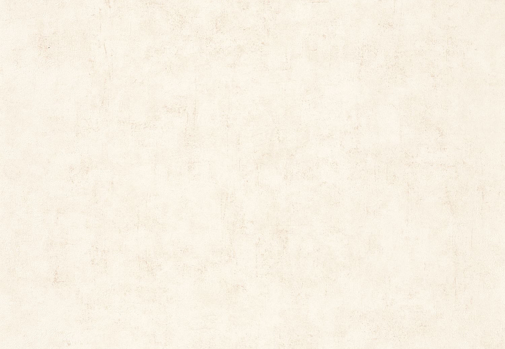 Обои Caselio Beton 2 BTO101491019