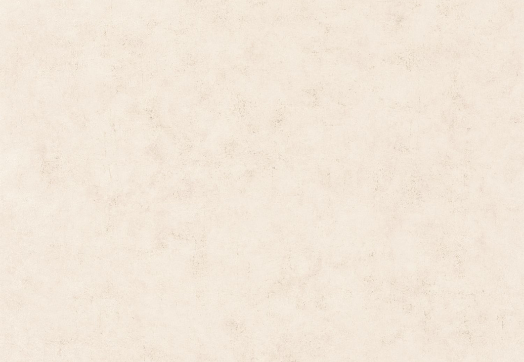 Обои Caselio Beton 2 BTO101481002