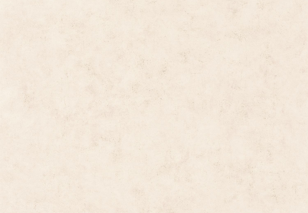 Обои Caselio Beton 2 BTO101481002