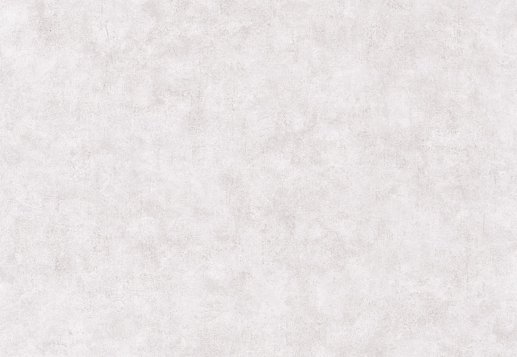 Обои Caselio Beton 2 BTO101489301