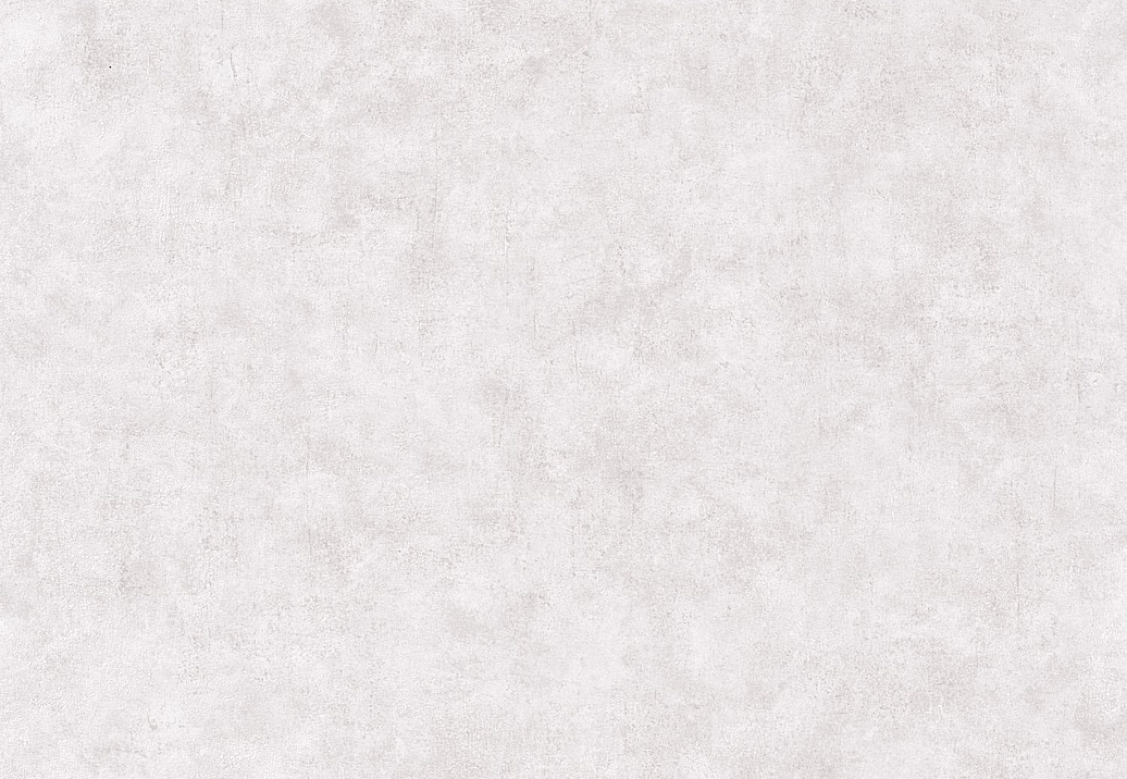 Обои Caselio Beton 2 BTO101489301