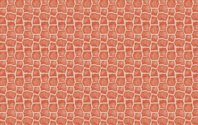 Американская ткань Fabricut, коллекция Charlotte Moss Coral, артикул Capetown/Coral