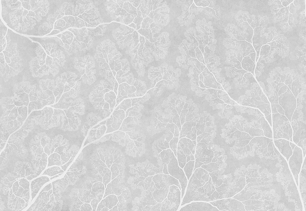 Панно и фотообои Factura Collection 2024 CROWNS/2