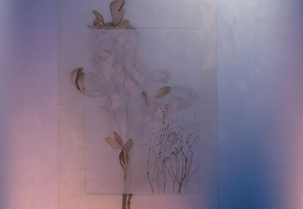 Панно и фотообои Factura Collection 2024 EVIGILATIO/6