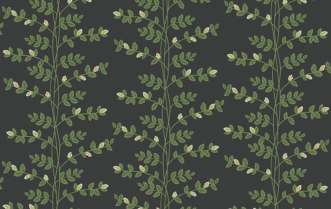 Американские обои York, коллекция Rifle Paper Co. Third Edition, артикул RF7422