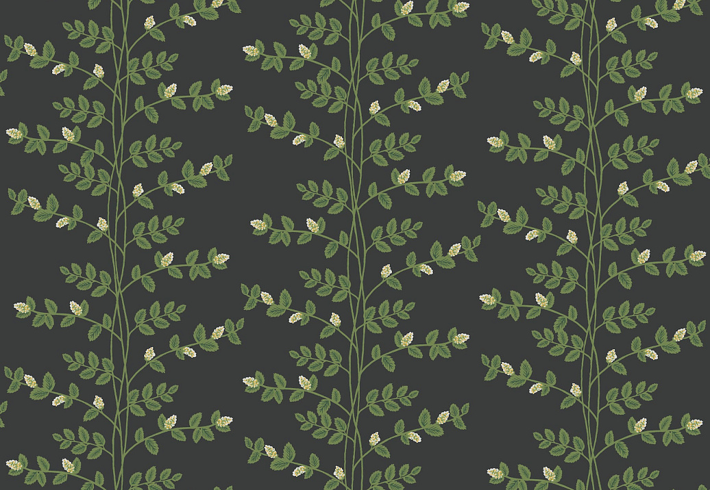 Обои York Rifle Paper Co. Third Edition RF7422