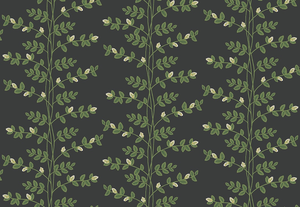 Обои York Rifle Paper Co. Third Edition RF7422