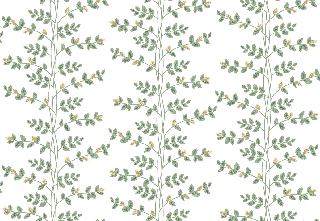 Обои York Rifle Paper Co. Third Edition RF7424
