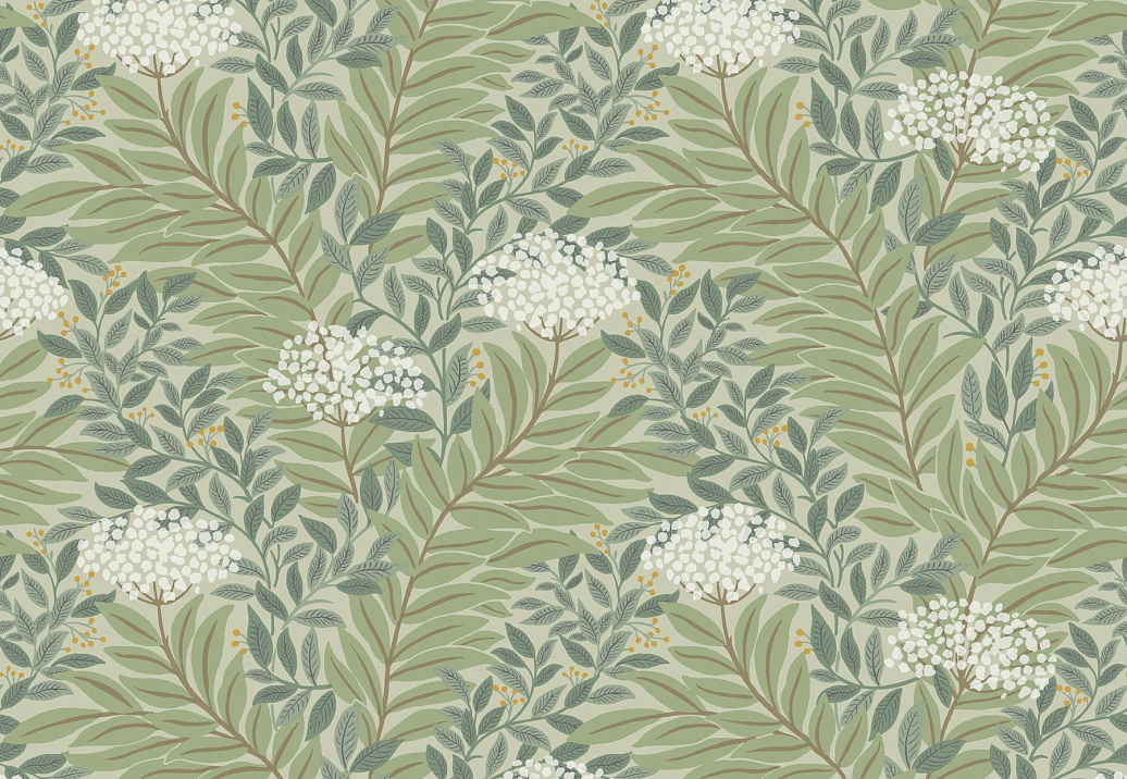 Обои York Rifle Paper Co. Third Edition RF7503