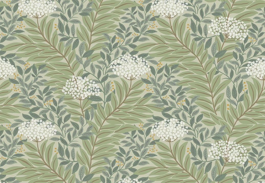 Обои York Rifle Paper Co. Third Edition RF7503