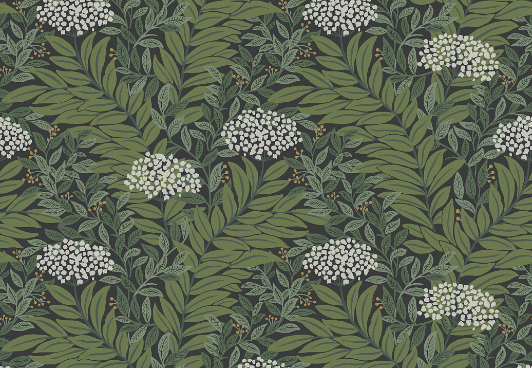 Обои York Rifle Paper Co. Third Edition RF7504
