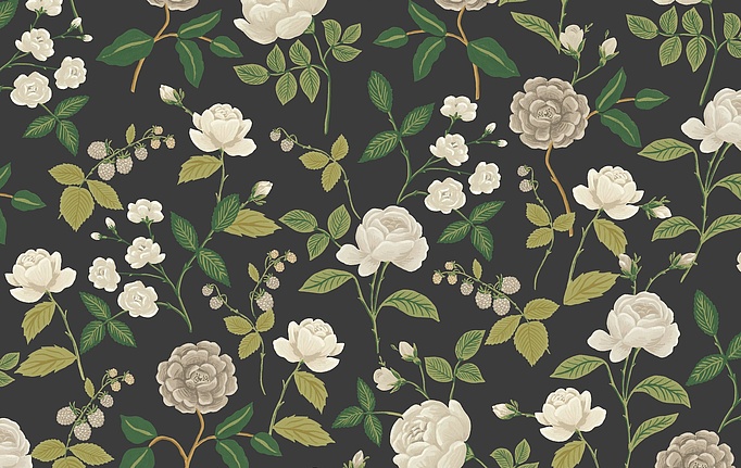 Американские обои York, коллекция Rifle Paper Co. Third Edition, артикул RF7542