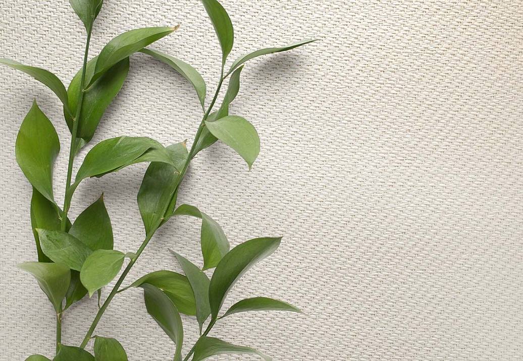 Обои Carl Robinson Edition 20 White Natural Textures CL50048