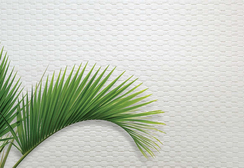 Обои Carl Robinson Edition 20 White Natural Textures CL50049
