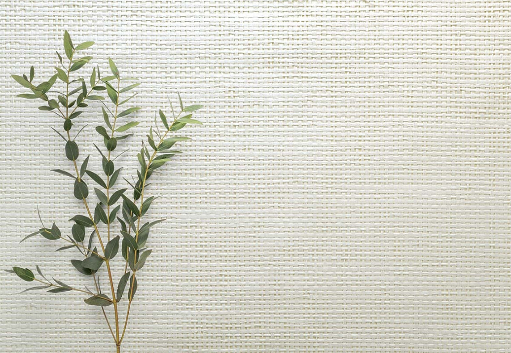 Обои Carl Robinson Edition 20 White Natural Textures CL50051