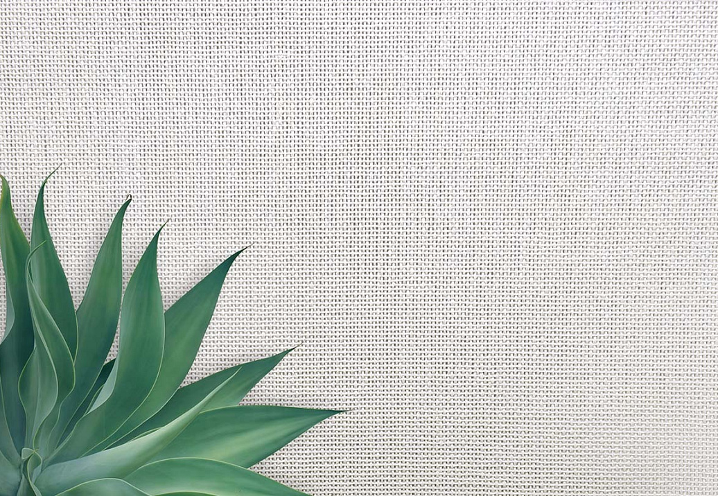 Обои Carl Robinson Edition 20 White Natural Textures CL50052