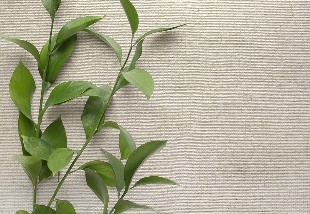 Обои Carl Robinson Edition 20 White Natural Textures CL50054