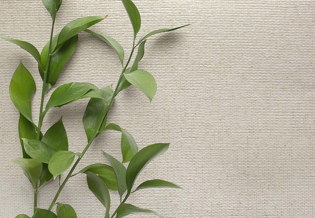 Обои Carl Robinson Edition 20 White Natural Textures CL50054