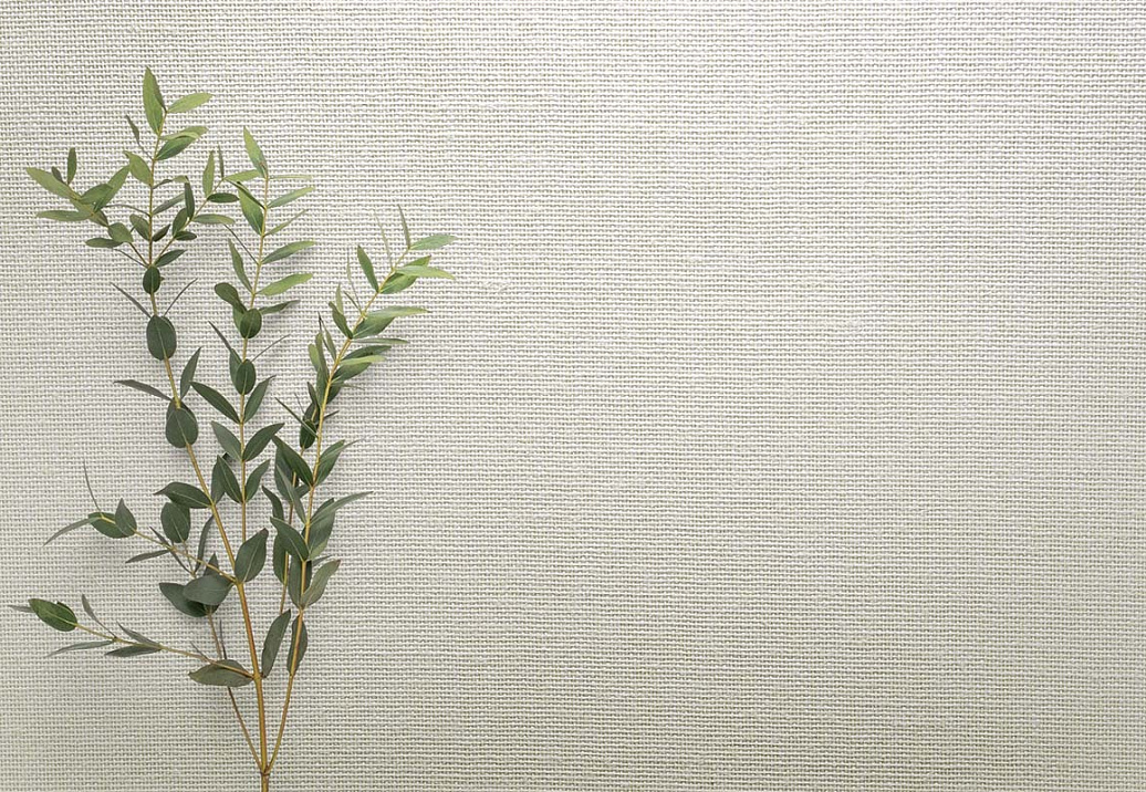 Обои Carl Robinson Edition 20 White Natural Textures CL50057