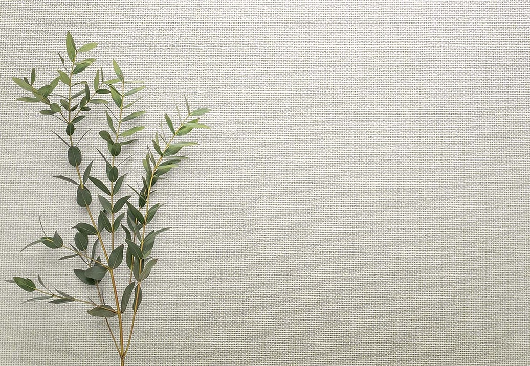 Обои Carl Robinson Edition 20 White Natural Textures CL50057