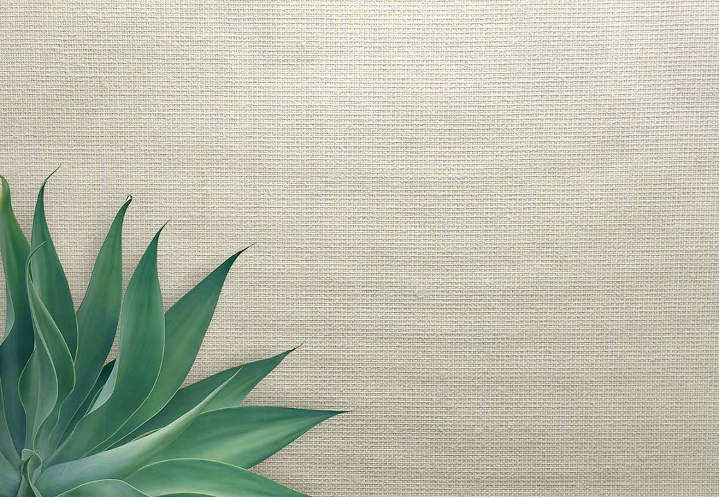 Обои Carl Robinson Edition 20 White Natural Textures CL50058