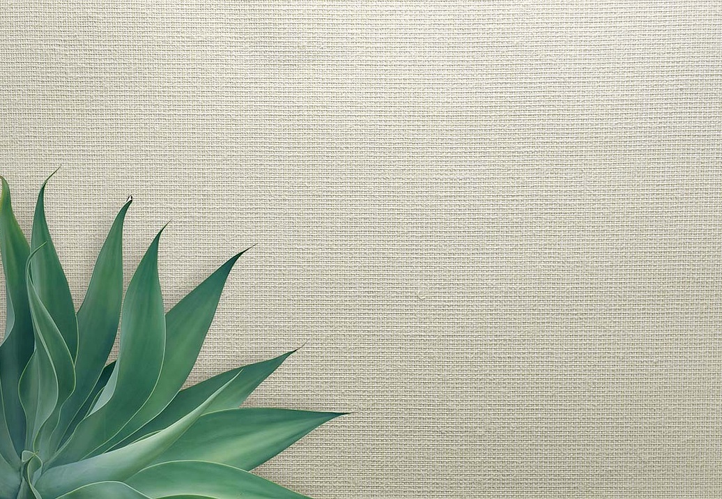 Обои Carl Robinson Edition 20 White Natural Textures CL50058