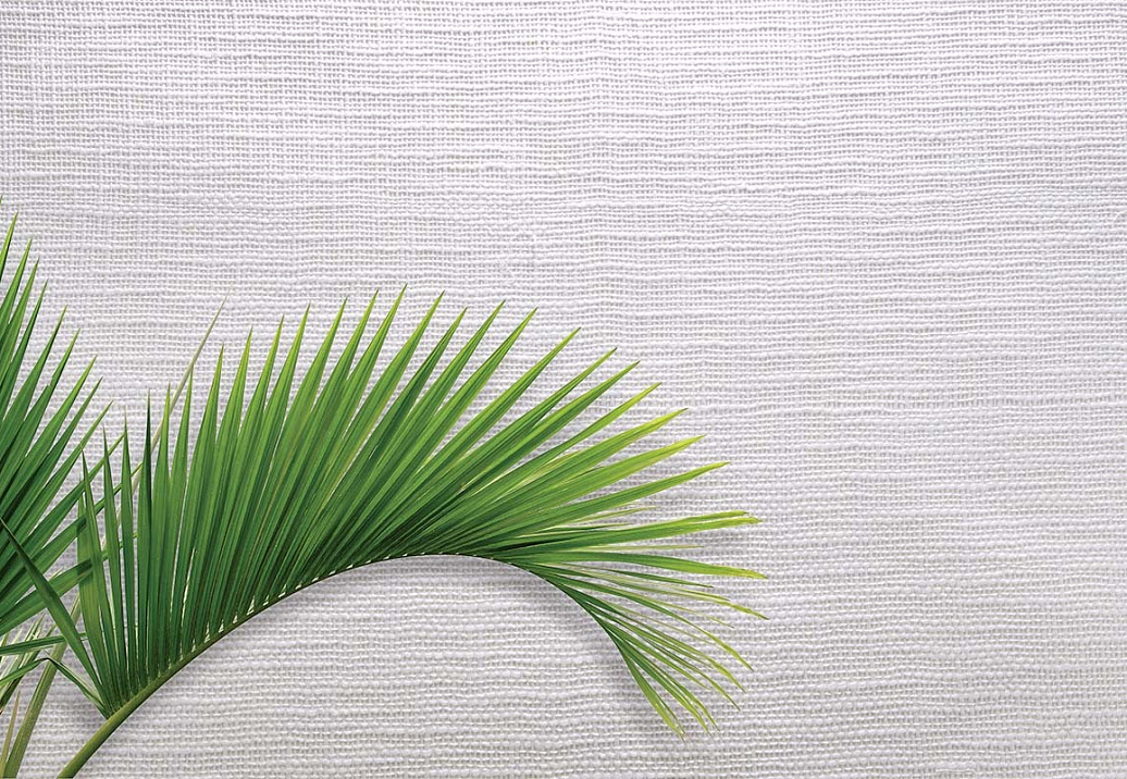 Обои Carl Robinson Edition 20 White Natural Textures CL50061