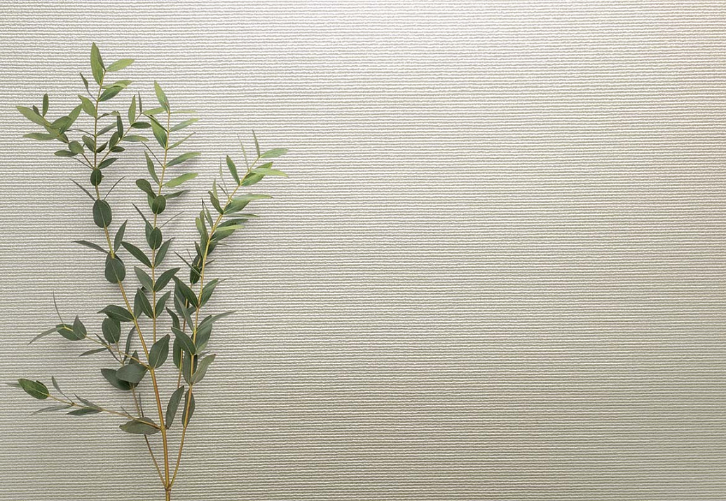 Обои Carl Robinson Edition 20 White Natural Textures CL50063