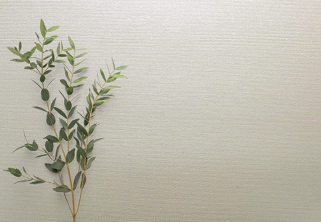 Обои Carl Robinson Edition 20 White Natural Textures CL50063