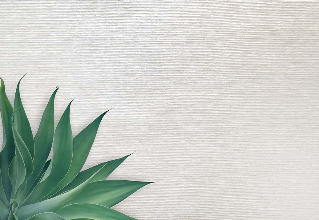 Обои Carl Robinson Edition 20 White Natural Textures CL50064
