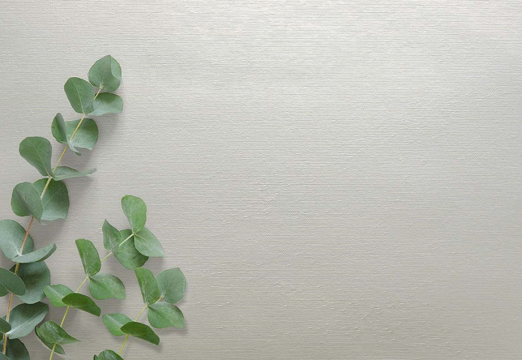 Обои Carl Robinson Edition 20 White Natural Textures CL50065