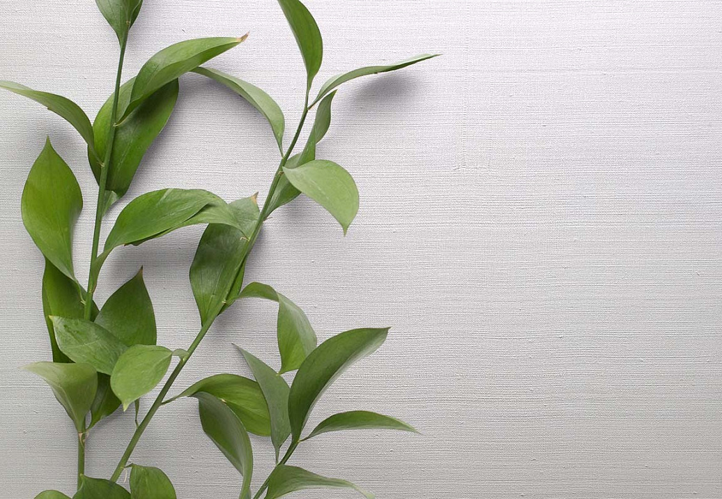 Обои Carl Robinson Edition 20 White Natural Textures CL50066